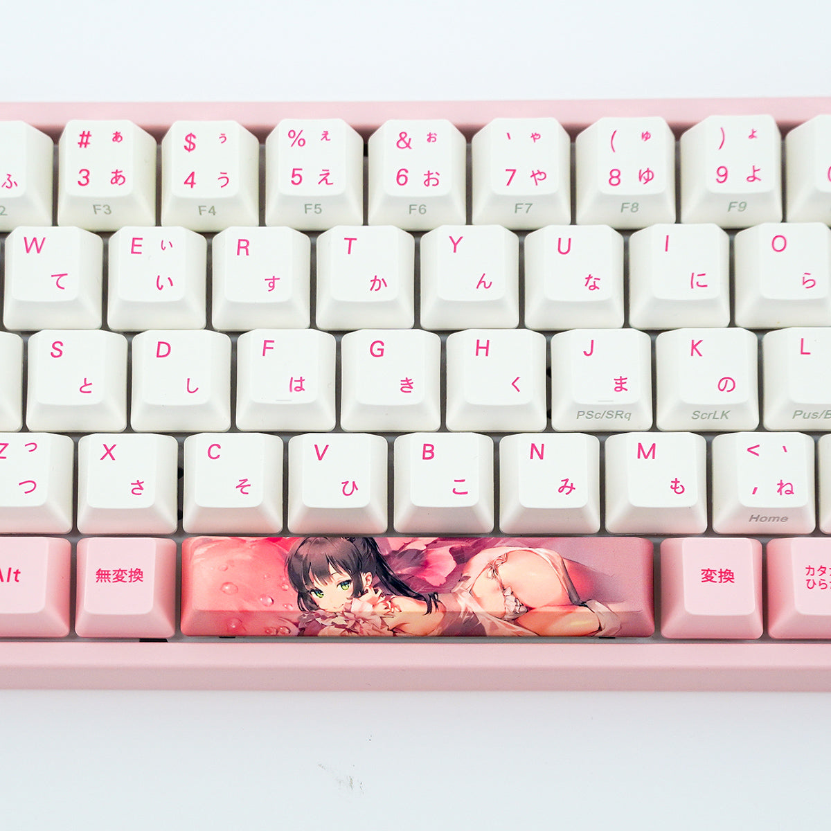 ふもコレ×Anmi キーキャップセット −  SUPERBLOOM −